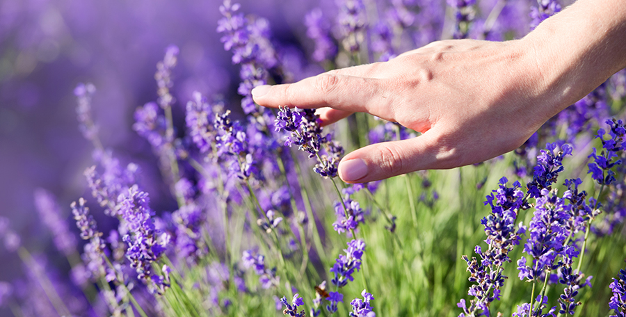 Chi Natural Life - Gevoelige huid